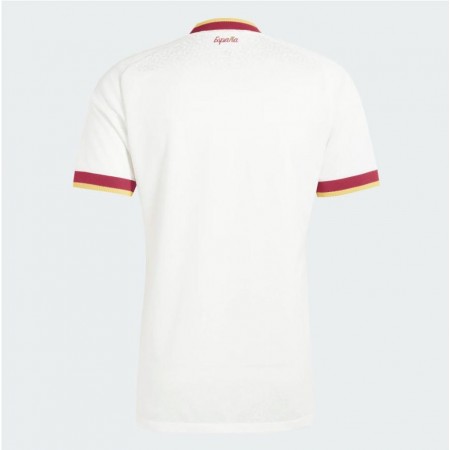 SPAIN 26 AWAY WINNER 2
